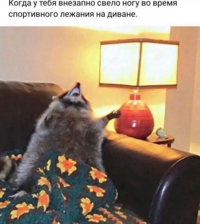 Дичка на выходные