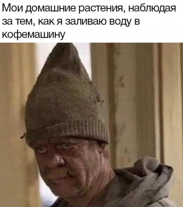 Дичка на выходные