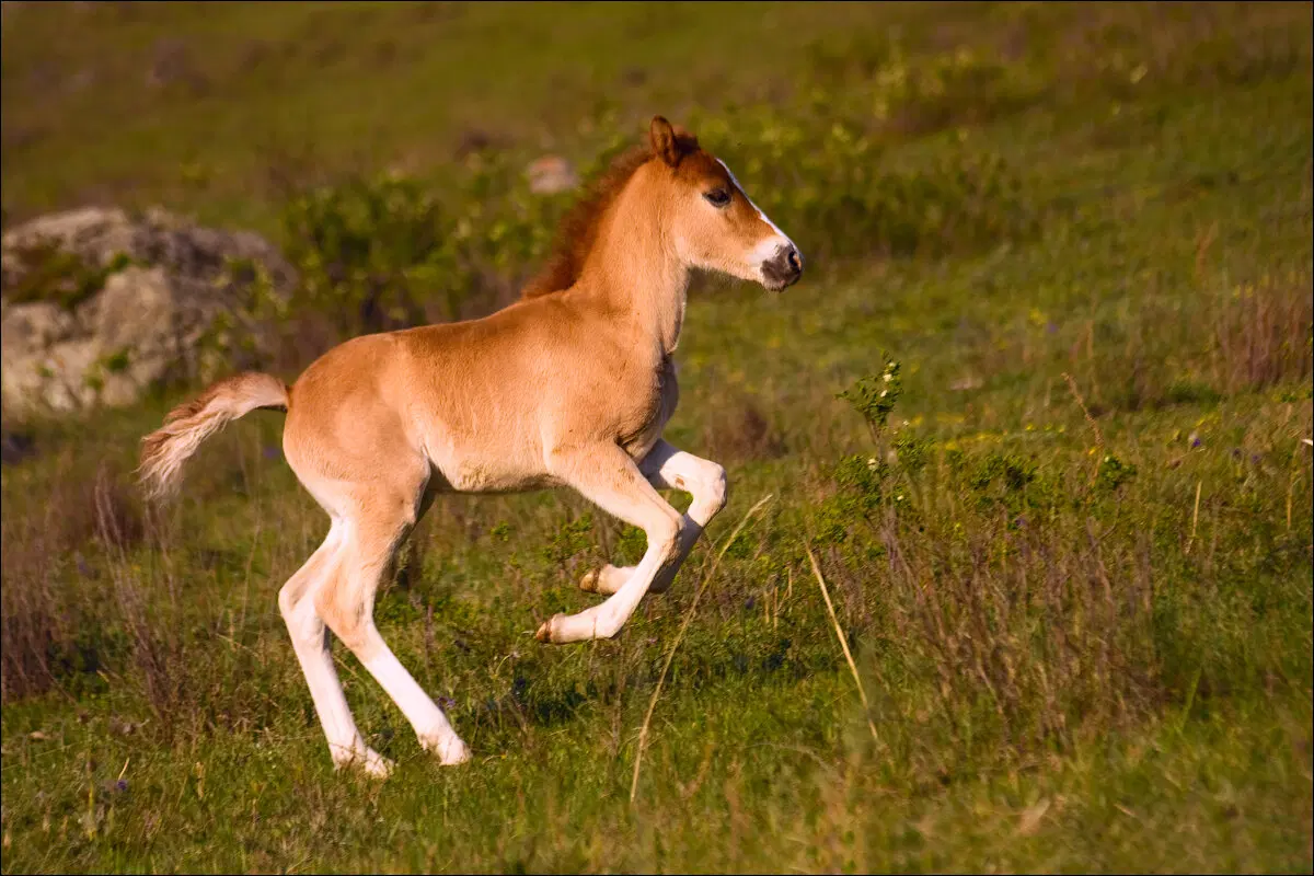 Хорошо быть молодым