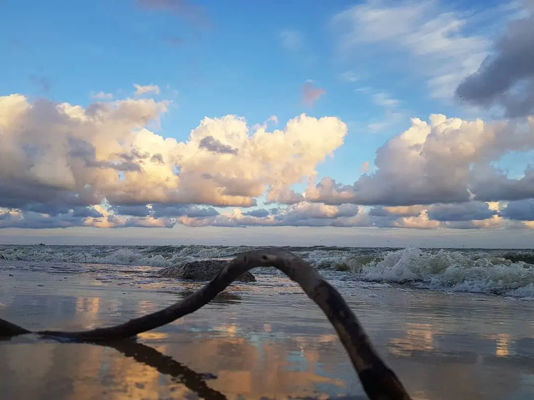 В мелком омуте дыры водятся