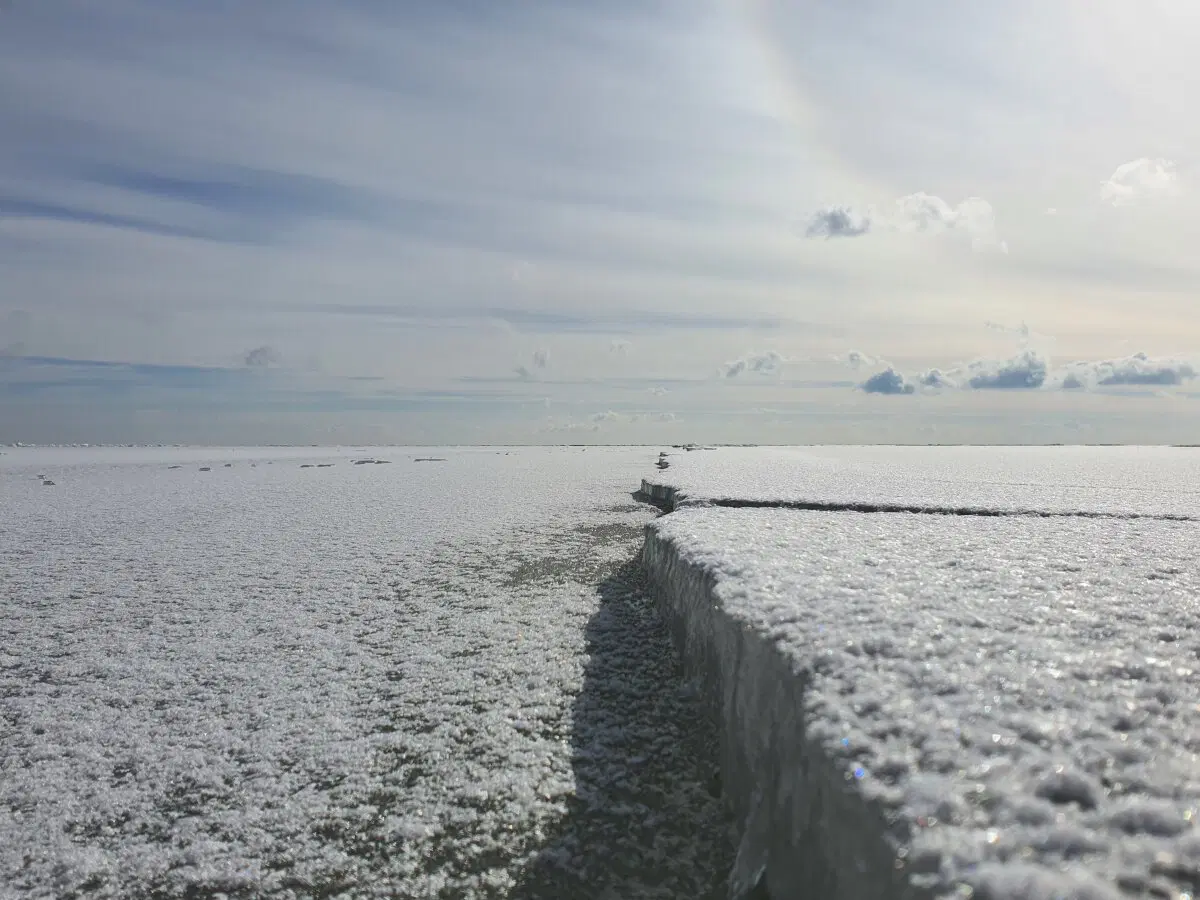 В мелком омуте дыры водятся