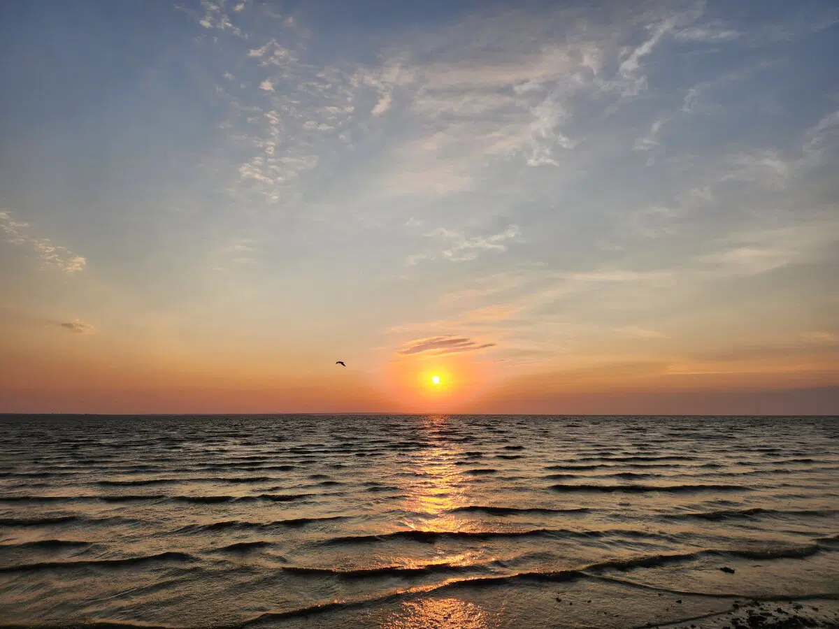 В мелком омуте дыры водятся