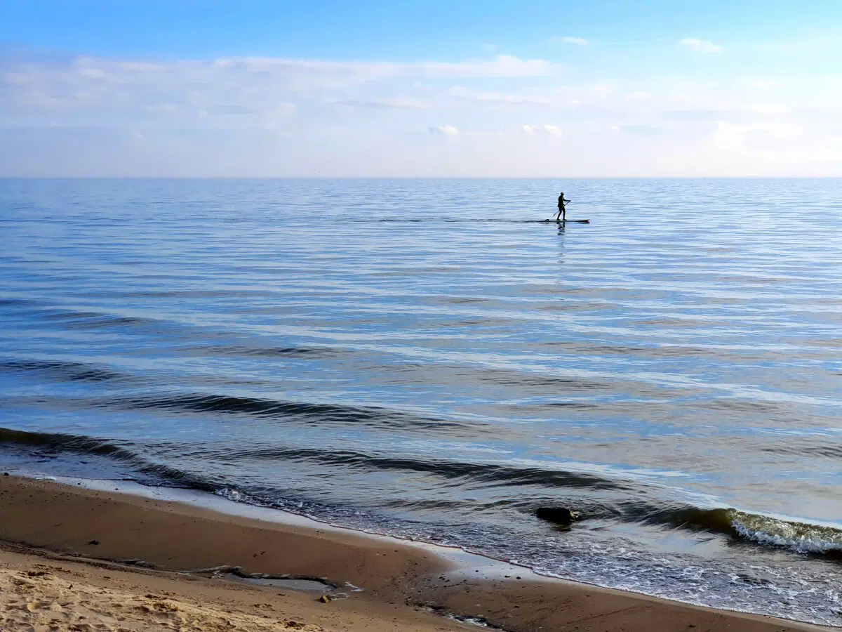 В мелком омуте дыры водятся