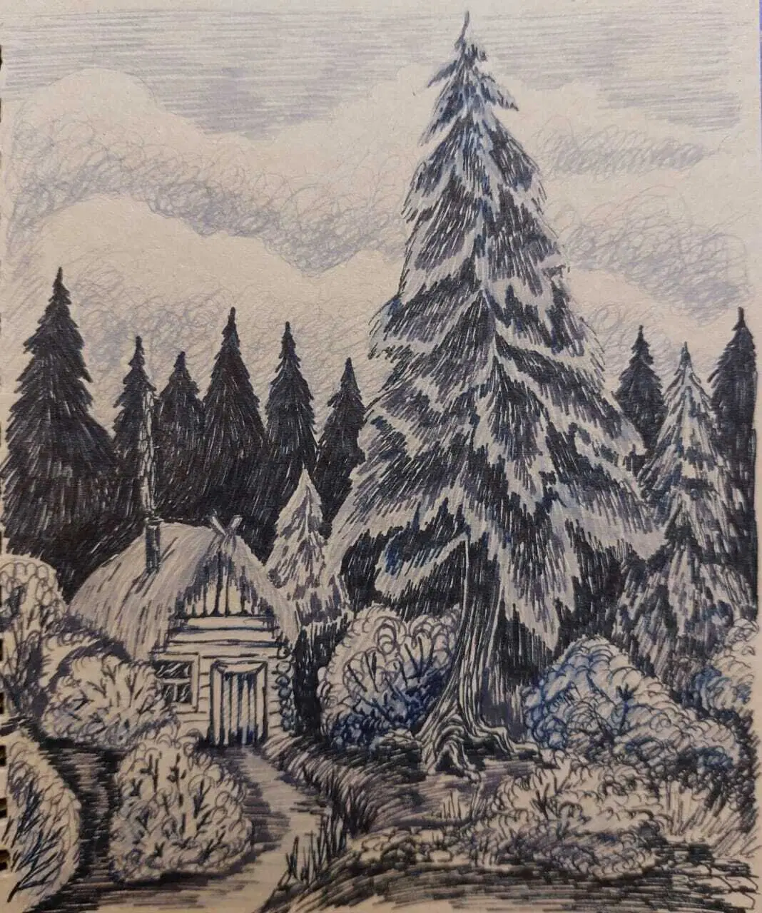 Ёлки-палки, лес густой