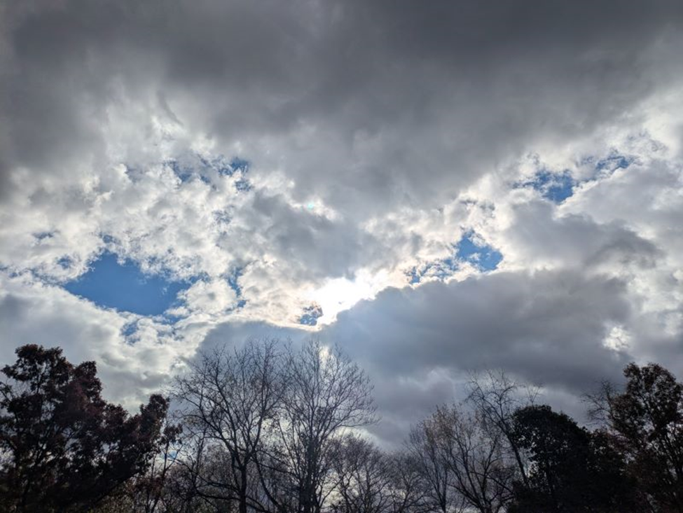 «Попробуй эту жизнь исправь…»