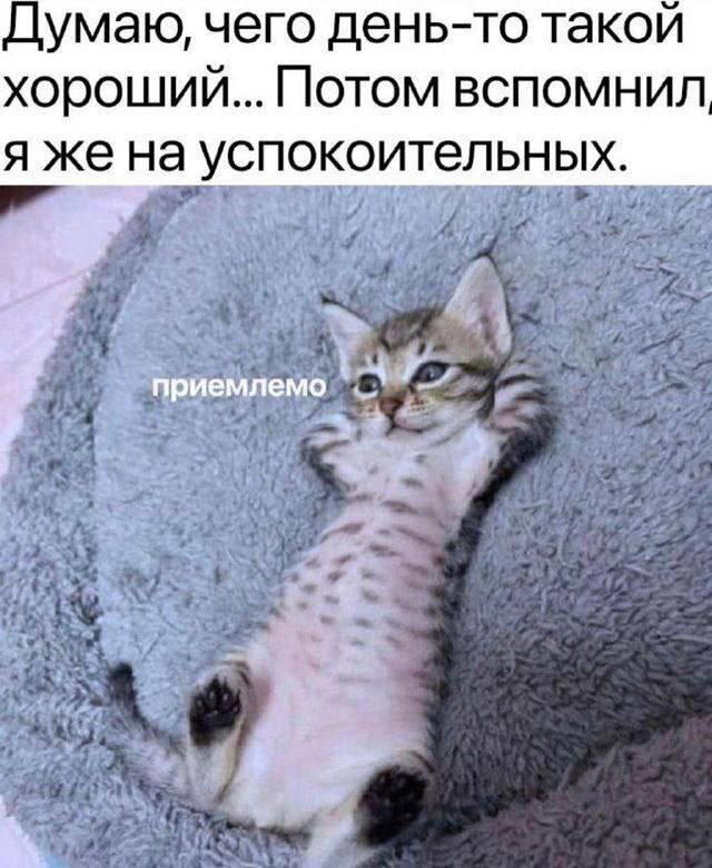 Дичка Венеричка