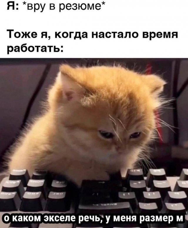 Дичка Венеричка