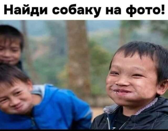 Дичка Венеричка