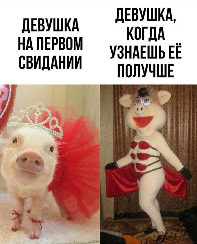 Дичка Венеричка