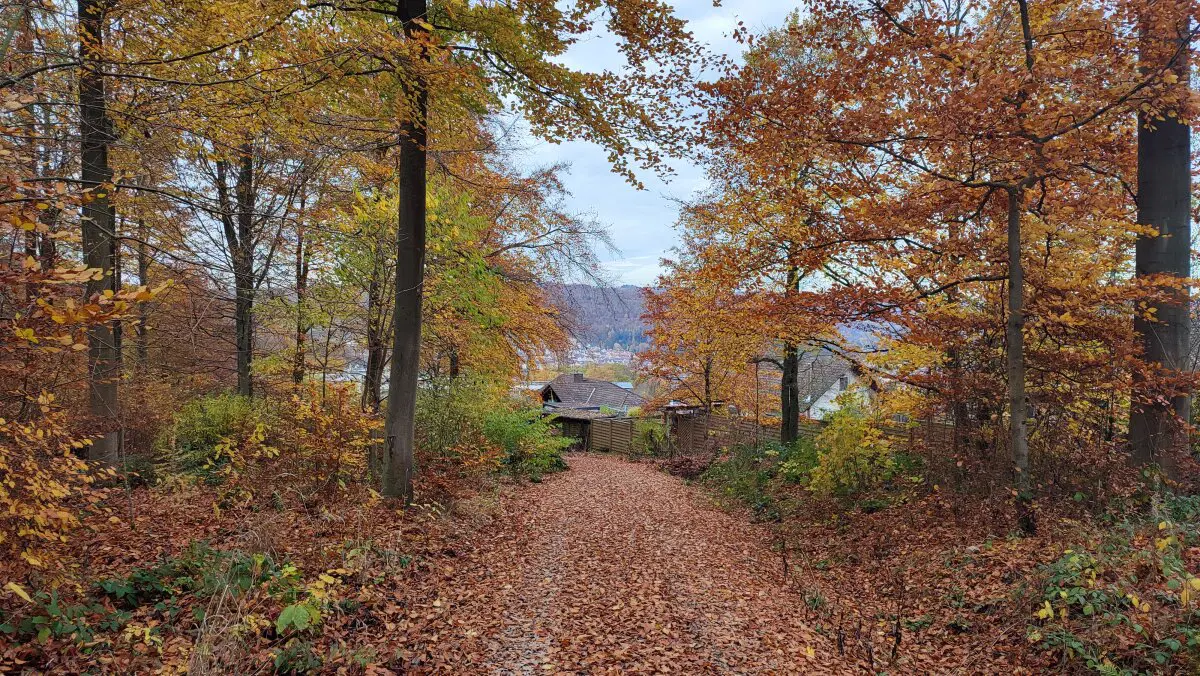 Ганн. Мюнден