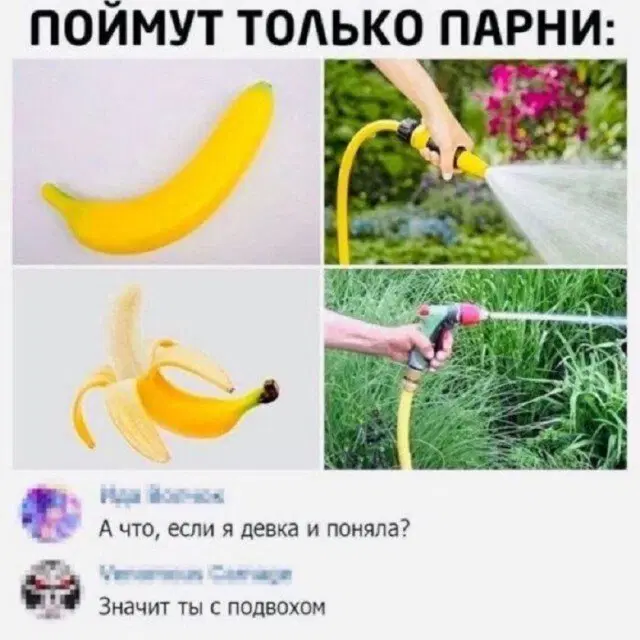Дичка понедельникосредовое