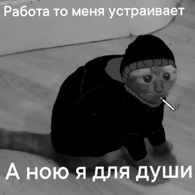 Дичка понедельникосредовое