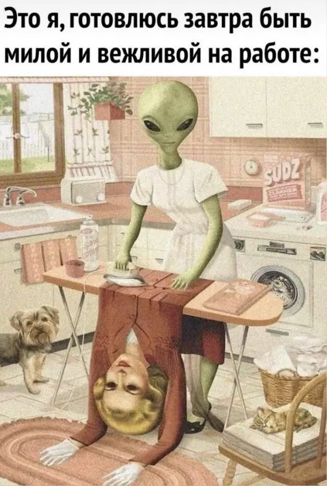 Дичка понедельникосредовое