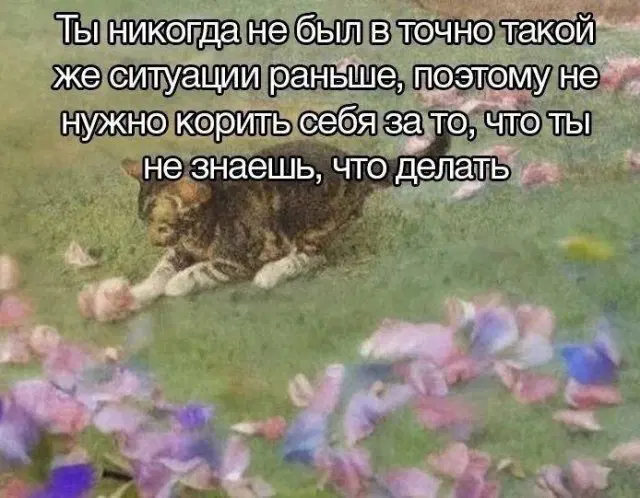 Дичка понедельникосредовое