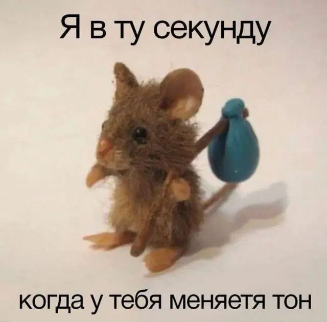 Четвердичка