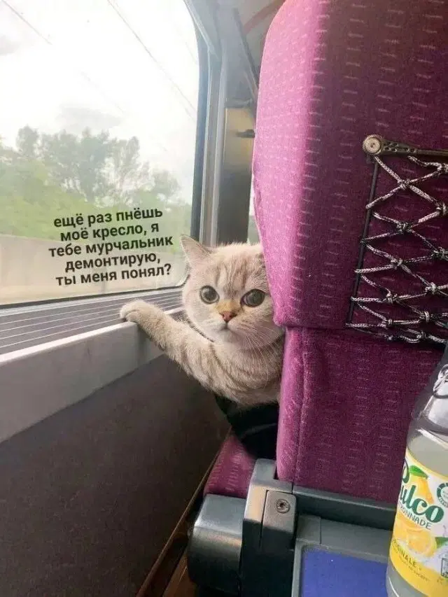 Четвердичка