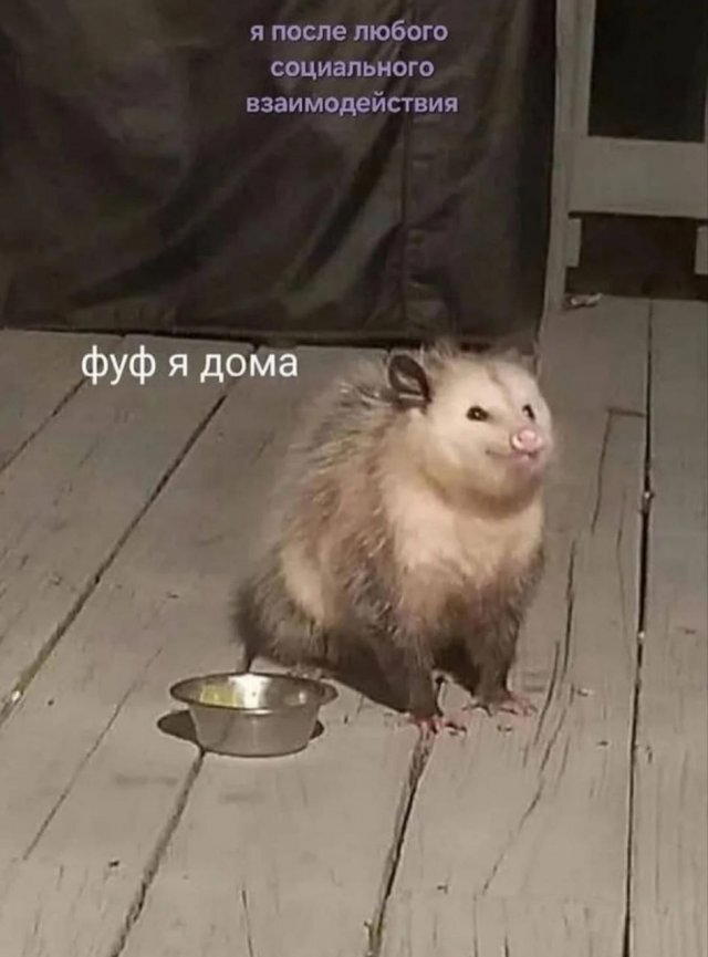 Четвердичка