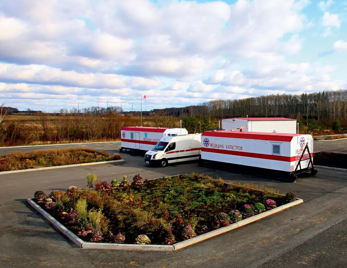 Пропавшая газель