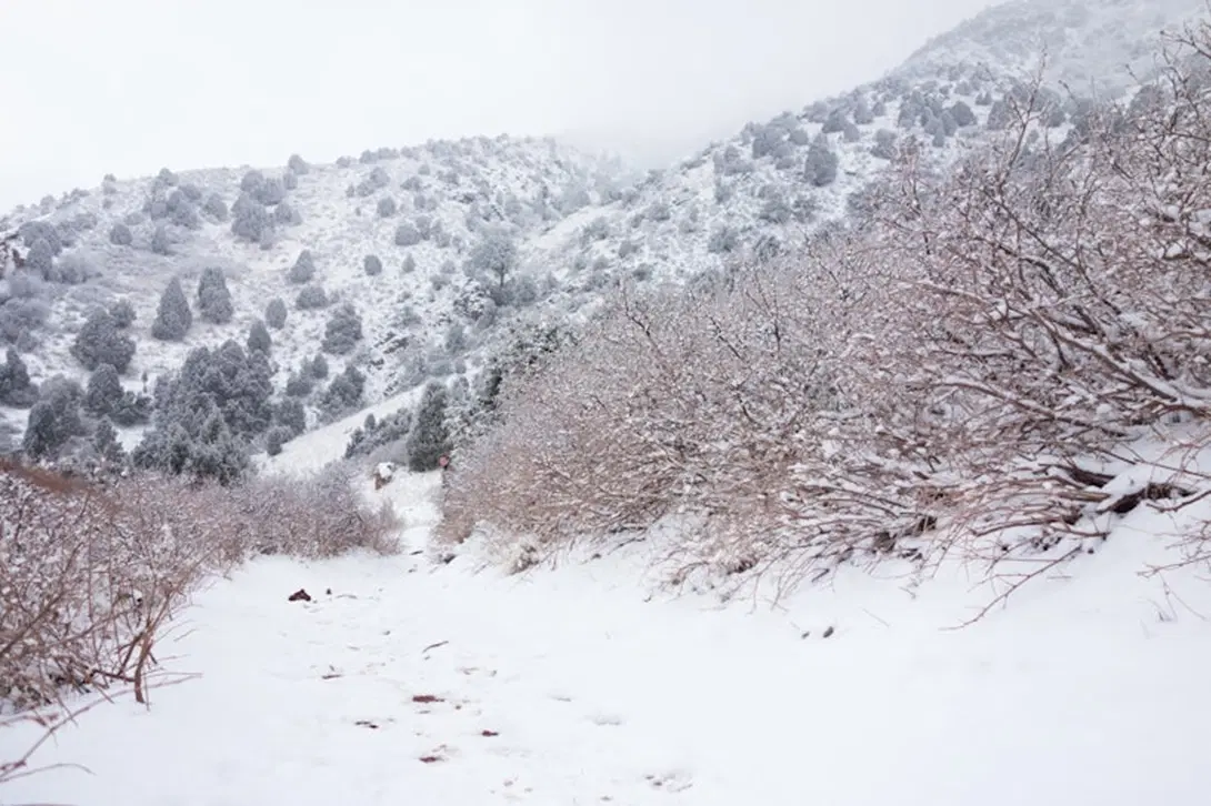 Убежал? А нет, ещё только подбегает.