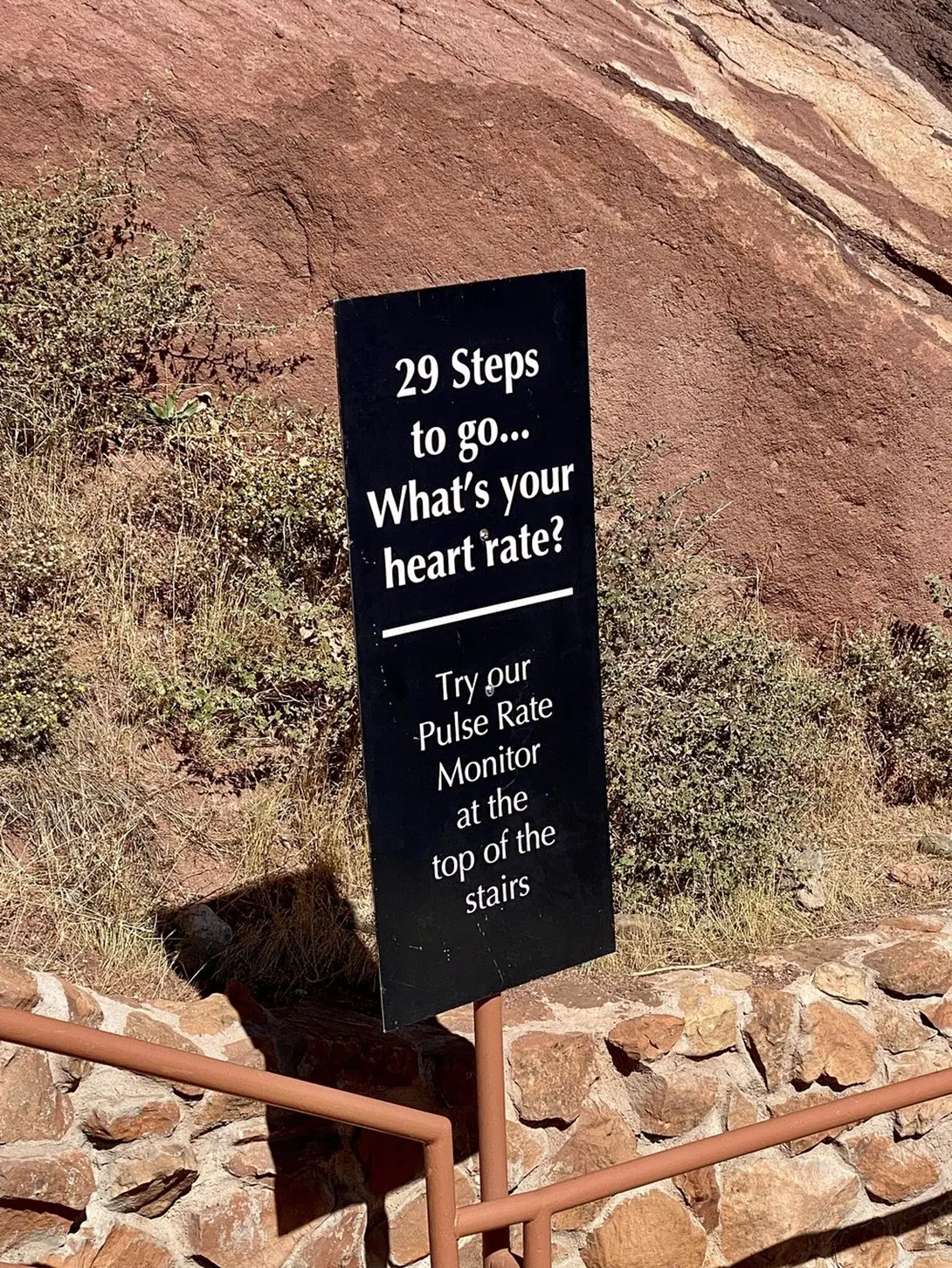 29 ступеней. Каков Ваш пульс? В общем, предлагают замерить пульс после
подъёма.