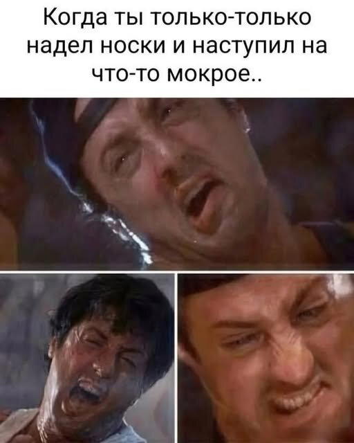 Дичка алкоголичка