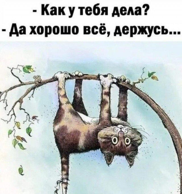 Дичка алкоголичка