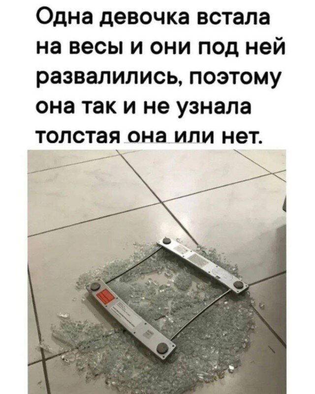 Дичка алкоголичка