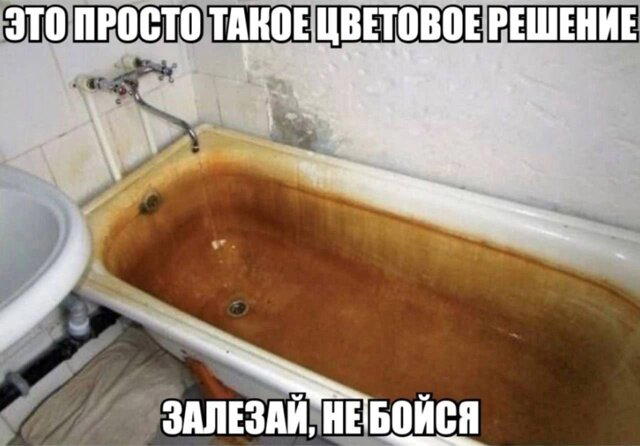 Дичка алкоголичка