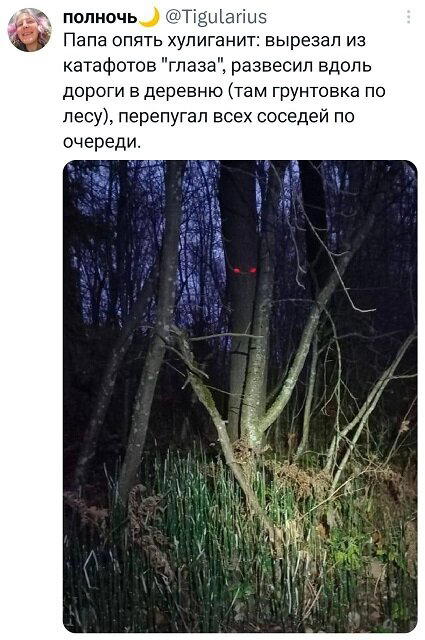 Дичка алкоголичка