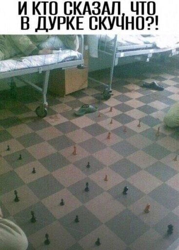 Дичка алкоголичка