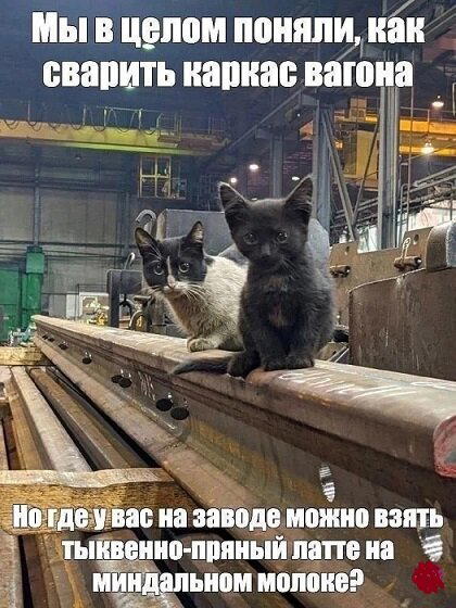 Дичка алкоголичка