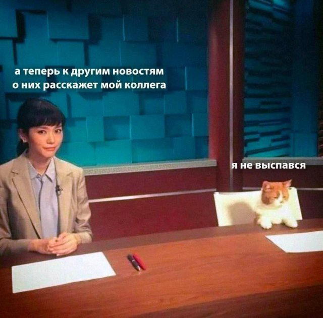 Дичка дополничка