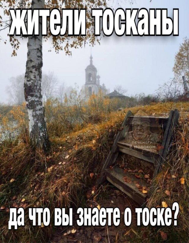 Дичка дополничка