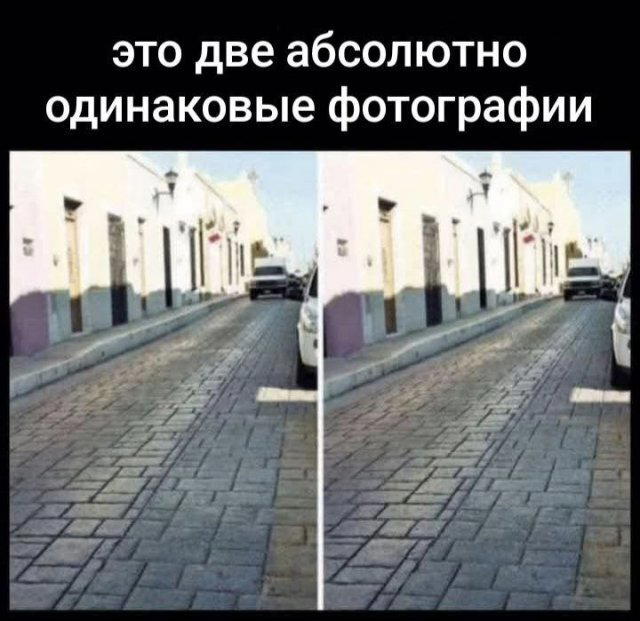 Дичка дополничка