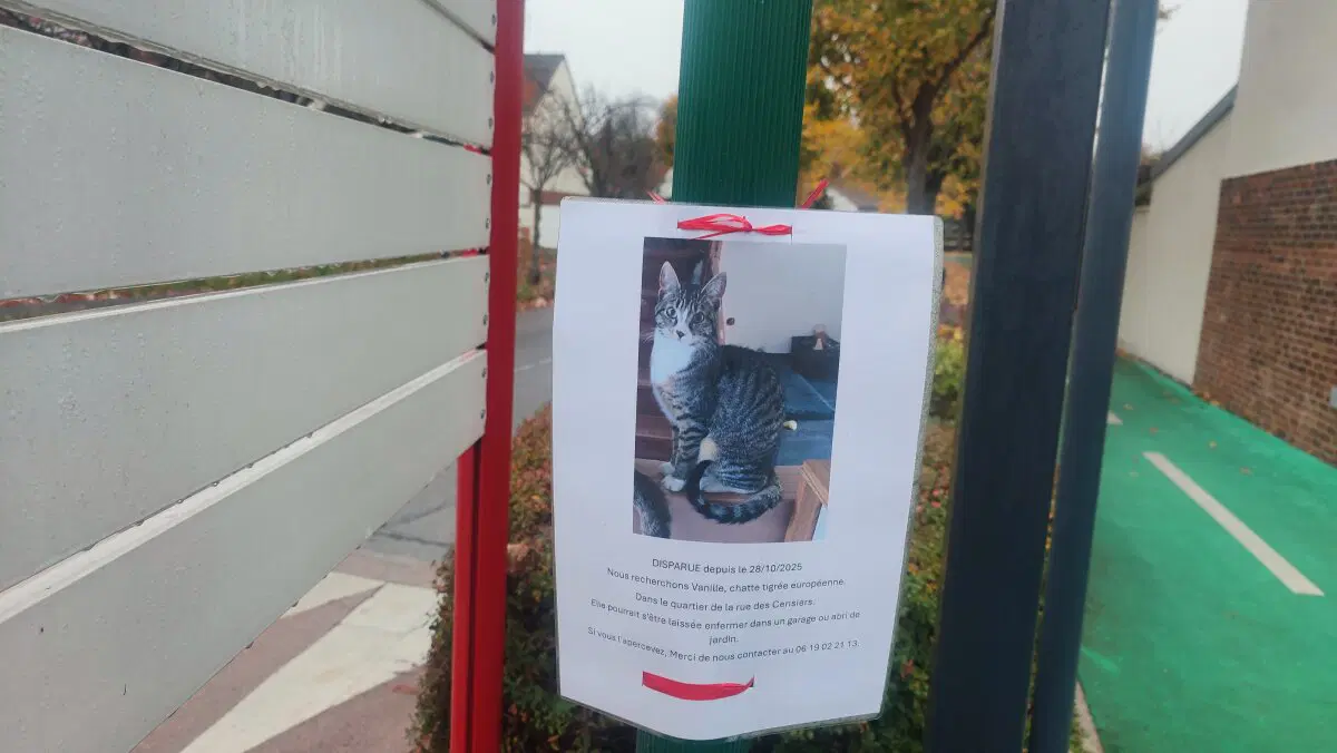 Подпарижье.