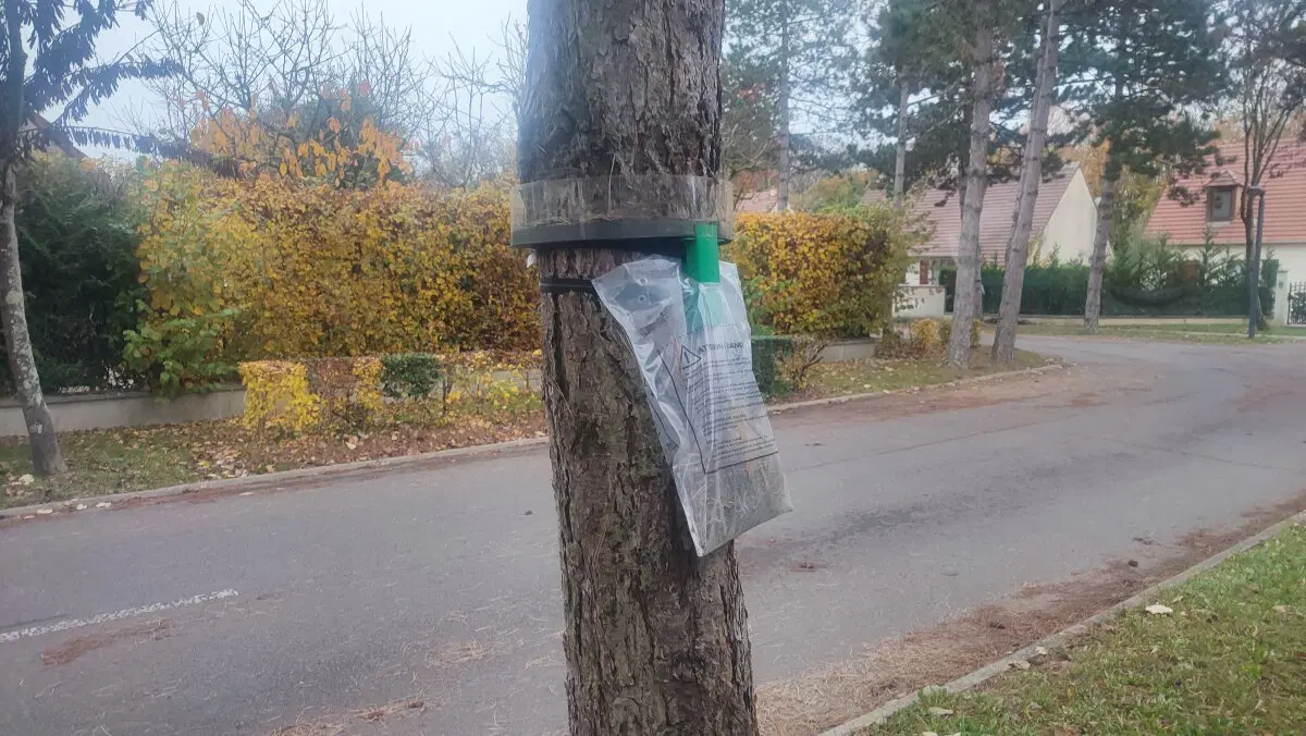 Подпарижье.