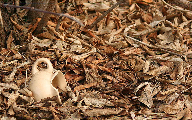 не постановочный, осенний натюрморт