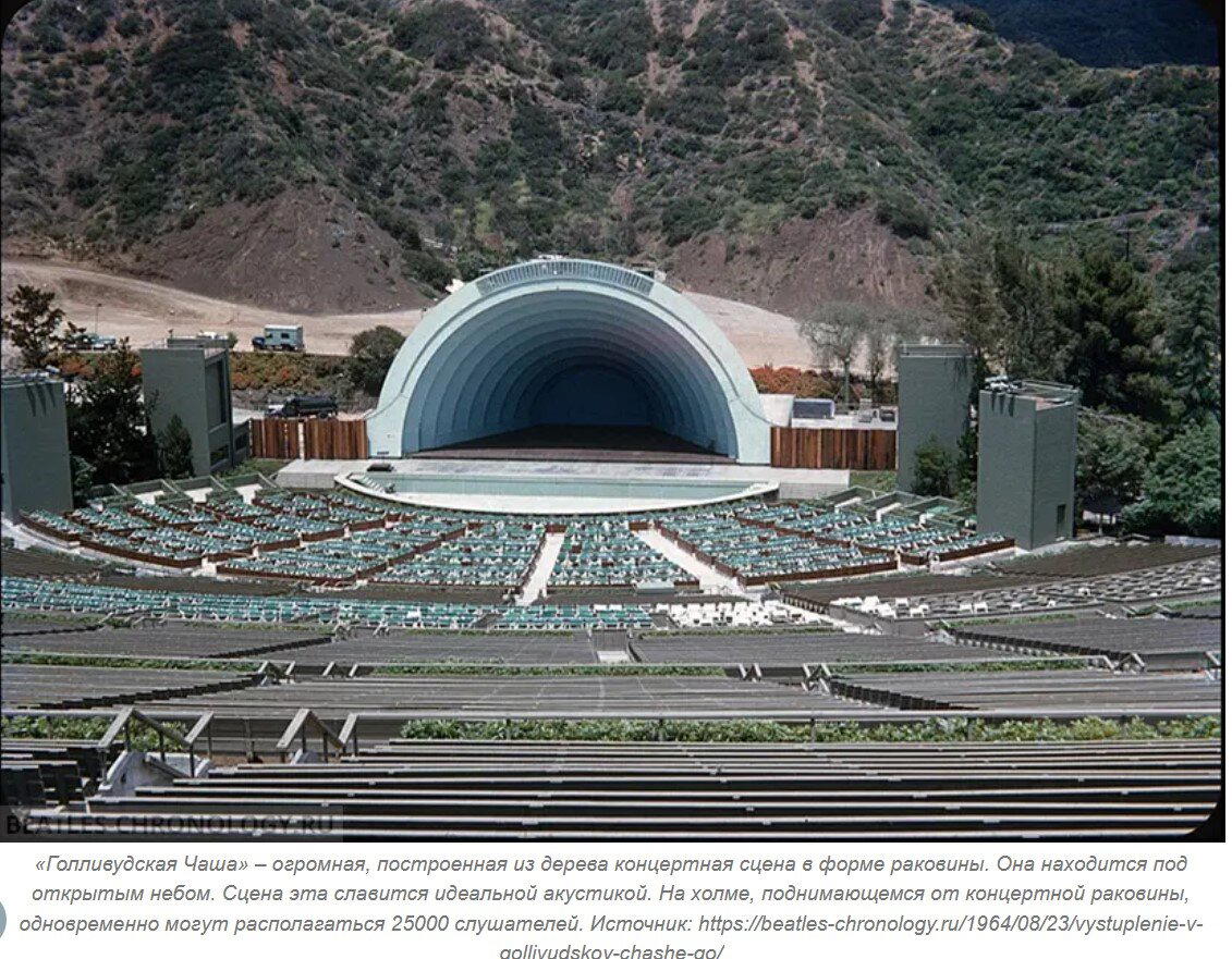 Ивент Вомбата. Итоги недели - Амфитеатр