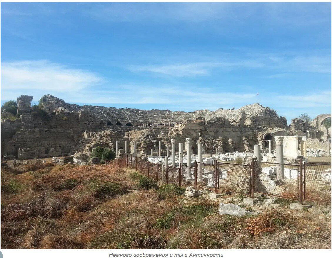 Ивент Вомбата. Итоги недели - Амфитеатр