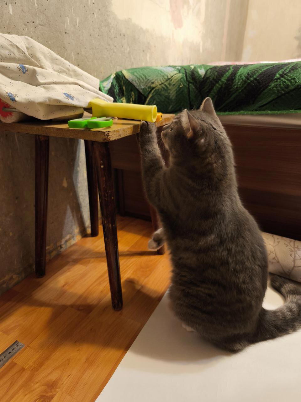 Так! Что это у тебя там? Что значит нельзя?