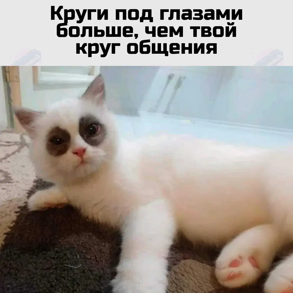 Дички на начало недельки