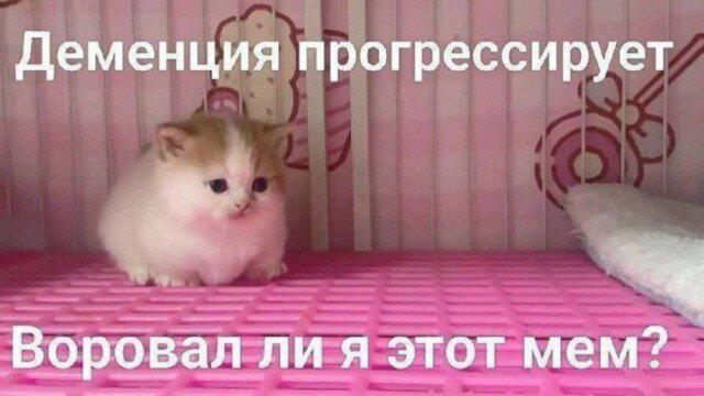 Дички на начало недельки