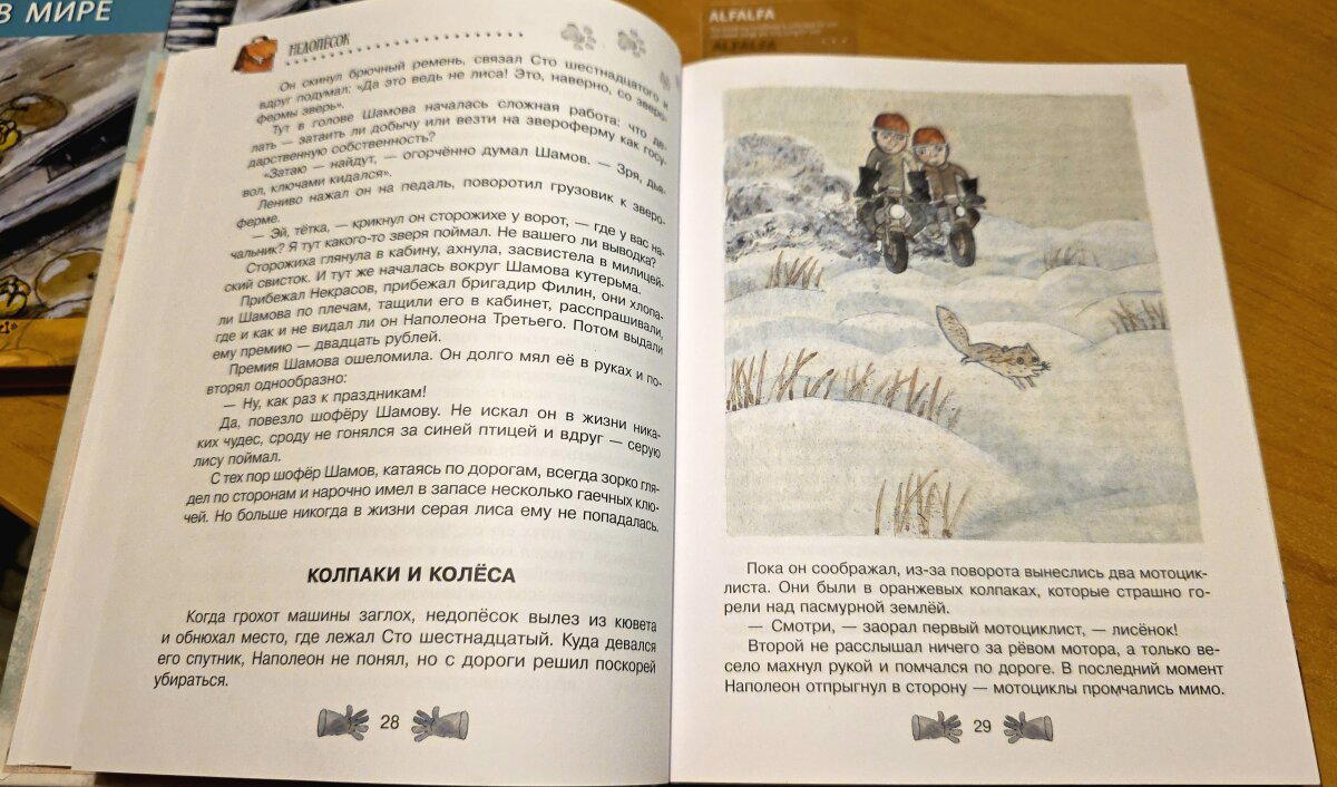 "Смотри, лисенок!" - кричат мотоциклисты, но это не лисенок, а наш Наполеон от них текает.