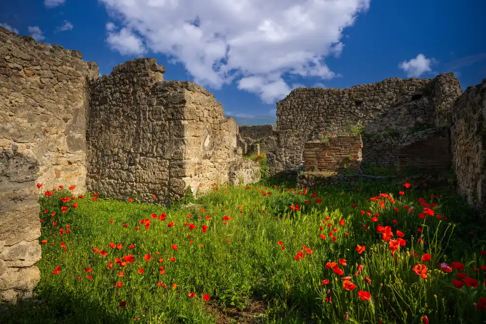 Фотобродилка