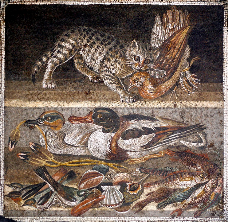 И котик чуть постарше, найденный в доме фавна и перевезённый в археологический музей Неаполя.