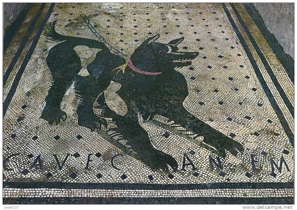 Берегись собаки - не котиками едиными богаты мозаики.