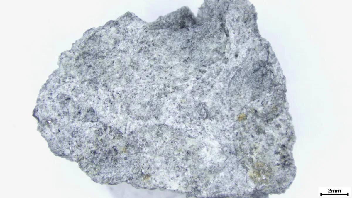 Один из кусочков