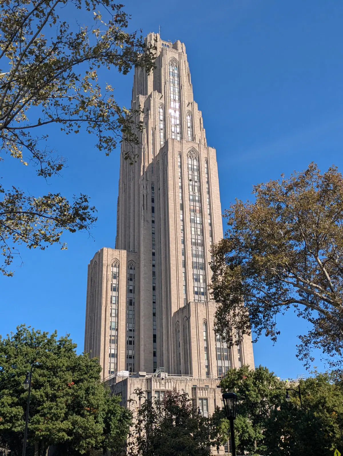 Летать не вредно, вредно не летать…