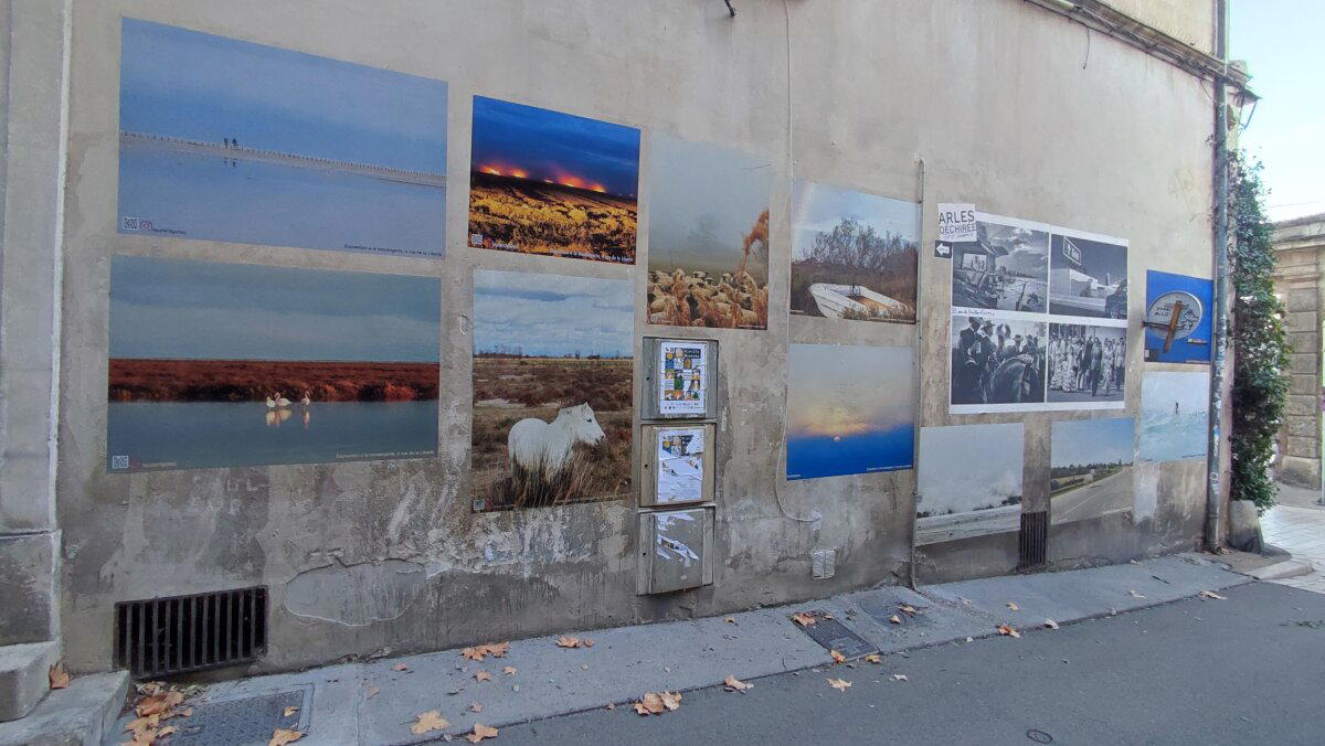 Тут даже водятся фламинго. Сейчас их нет, а вот летом их полно.