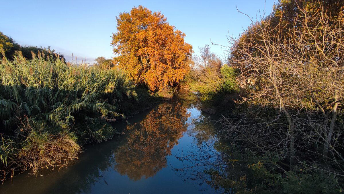 Тихие каналы